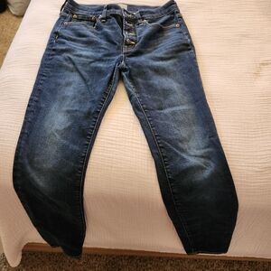 JCrew Denim Skinny Jean